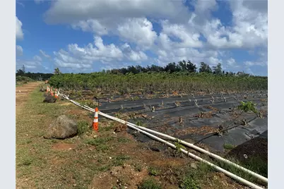 53-720 Kamehameha Highway #2A, Hauula, HI 96717 - Photo 13