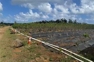 53-720 Kamehameha Hwy, Hauula, HI 96717 - Photo 13