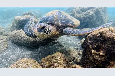 54-353 Kamehameha Highway #2, Hauula, HI 96717 - Photo 23