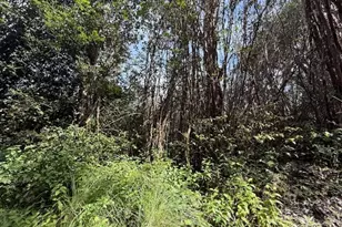 17-3352 Maunalani Rd, Mountain View, HI 96771 - Photo 3