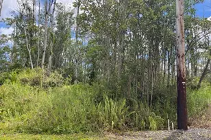 16-2143 Tradewind Dr, Pahoa, HI 96778 - Photo 7