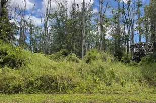 16-2143 Tradewind Dr, Pahoa, HI 96778 - Photo 9