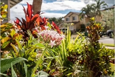 91-313 Hoalauna Place, Ewa Beach, HI 96706 - Photo 21