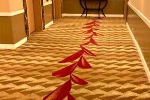 440 Olohana St, Honolulu, HI 96815 - Photo 19