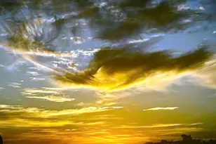 440 Olohana St, Honolulu, HI 96815 - Photo 25