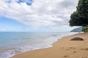 53-549 Kamehameha Hwy, Hauula, HI 96717 - Photo 1