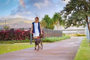 91-4099 Hikuono St, Kapolei, HI 96707 - Photo 15