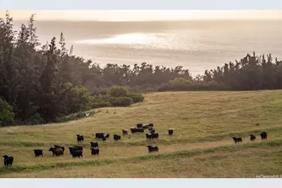 58-248 Kamehameha Highway #C1, Haleiwa, HI 96712 - Photo 13