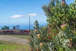 79 Lauie Dr, Kula, HI 96790 - Photo 19