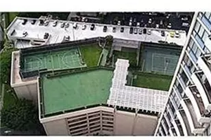 2333 Kapiolani Blvd, Honolulu, HI 96826 - Photo 5