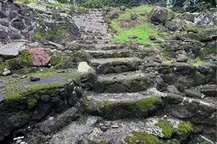 3369 Paty Dr, Honolulu, HI 96822 - Photo 5