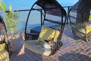 469 Portlock Rd, Honolulu, HI 96825 - Photo 25