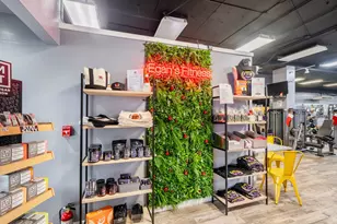 1212 Punahou St, Honolulu, HI 96826 - Photo 15