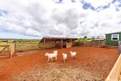64-486 Kamehameha Highway #23, Haleiwa, HI 96712 - Photo 19