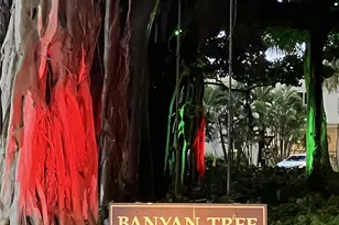 1212 Punahou St, Honolulu, HI 96826 - Photo 21