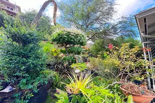 1445 Mokuna Pl, Honolulu, HI 96816 - Photo 17