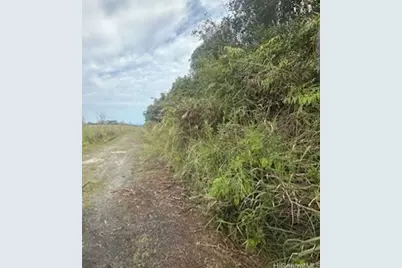 0 Huina Road, Mountain View, HI 96771 - Photo 3