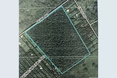 0 Huina Road, Mountain View, HI 96771 - Photo 5