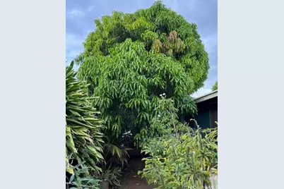 87-170 Maliona Street, Waianae, HI 96792 - Photo 21