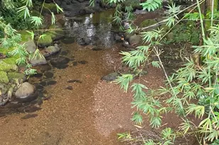 3545 Waakaua St, Honolulu, HI 96822 - Photo 3