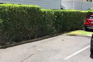 1050 Kinau St, Honolulu, HI 96814 - Photo 9