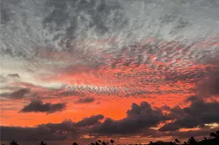 1 Keahole Pl, Honolulu, HI 96825 - Photo 17