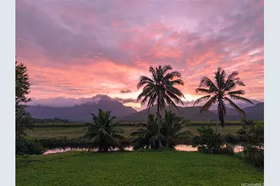 221 Kihapai Street #2, Kailua, HI 96734 - Photo 7
