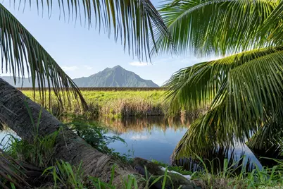 221 Kihapai Street #2, Kailua, HI 96734 - Photo 23