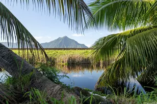 221 Kihapai St, Kailua, HI 96734 - Photo 23