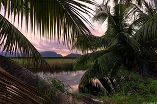 221 Kihapai St, Kailua, HI 96734 - Photo 9