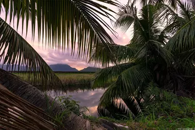 221 Kihapai Street, Kailua, HI 96734 - Photo 21