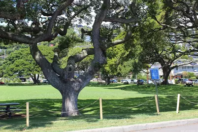 2361 Pauoa Road #A, Honolulu, HI 96813 - Photo 13