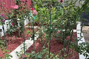 2190 Wilson St, Honolulu, HI 96819 - Photo 21