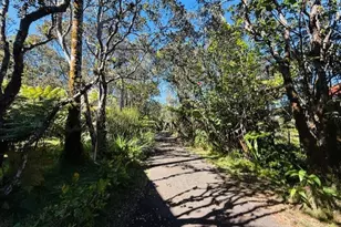 11-3763 10th St, Volcano, HI 96785 - Photo 21