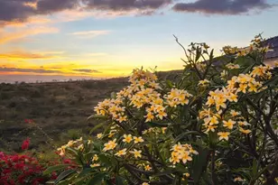 92-876 Panana St, Kapolei, HI 96707 - Photo 23