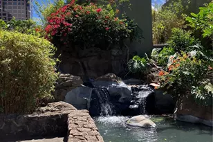 1255 Nuuanu Ave, Honolulu, HI 96817 - Photo 13