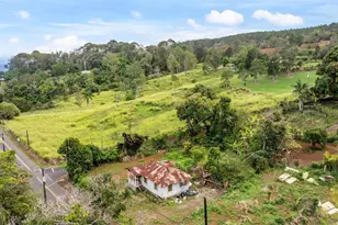 48-5399 Kukuihaele Rd, Honokaa, HI 96727 - Photo 9