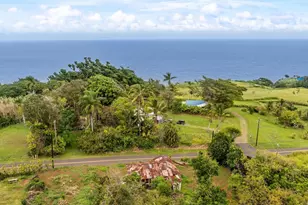 48-5399 Kukuihaele Rd, Honokaa, HI 96727 - Photo 17