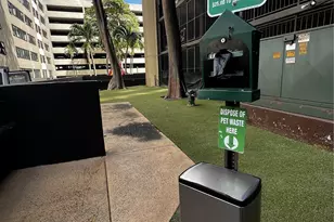 60 N Beretania St, Honolulu, HI 96817 - Photo 17