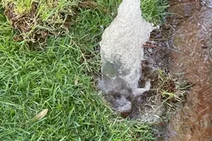 99-766 Holoai St, Aiea, HI 96701 - Photo 3