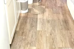 445 Seaside Ave, Honolulu, HI 96815 - Photo 9