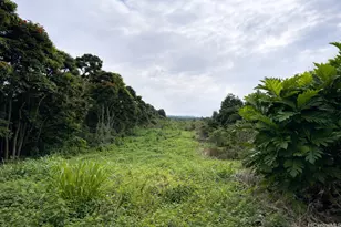 84-5186 Mamalahoa Hwy, Captain Cook, HI 96704 - Photo 23