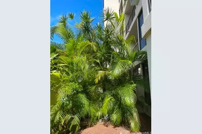 3138 Waialae Avenue #325, Honolulu, HI 96816 - Photo 13