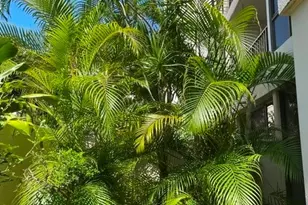3138 Waialae Ave, Honolulu, HI 96816 - Photo 13