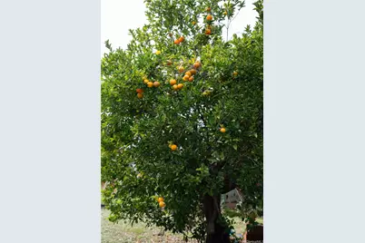 1310 Hoowali Street, Pearl City, HI 96782 - Photo 13