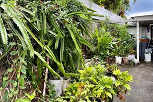 418 Dayton Ln, Honolulu, HI 96817 - Photo 17