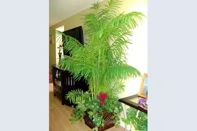 91-1059 Opaehuna Street, Ewa Beach, HI 96706 - Photo 5