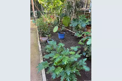 423 Kaiolu Street #203, Honolulu, HI 96815 - Photo 11