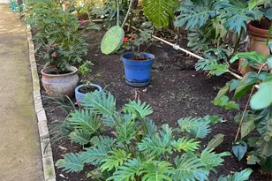 423 Kaiolu St, Honolulu, HI 96815 - Photo 11