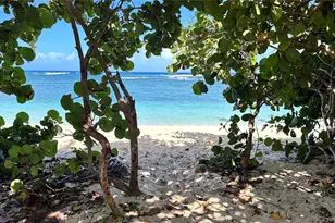 68-101 Waialua Beach Rd, Waialua, HI 96791 - Photo 13